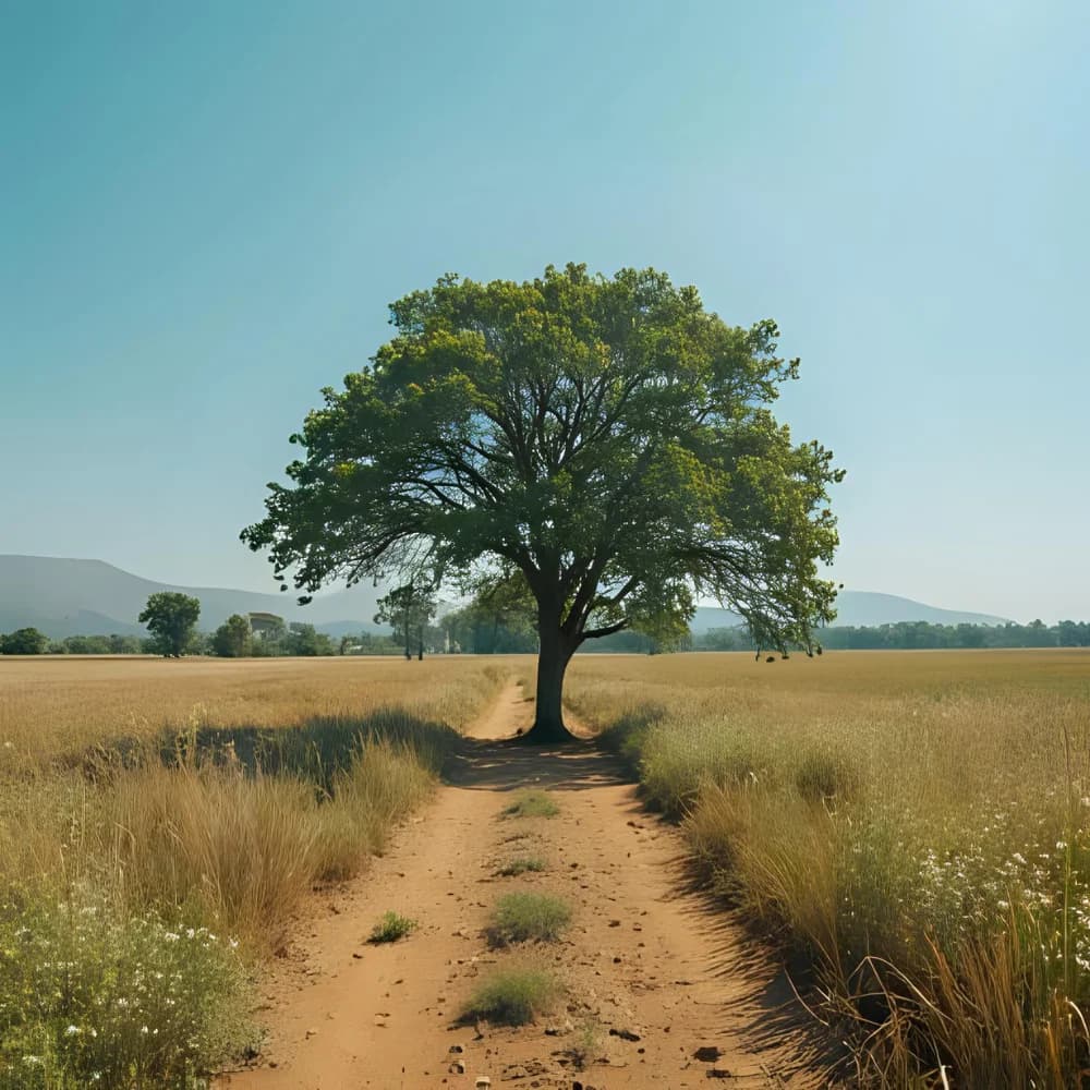 Environment & Sustainability